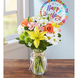 Fields of Europe Happy Birthday     