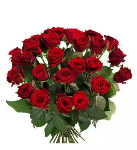 Bouquet of red roses