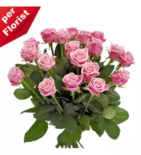 Bouquet of pink roses Bouquet of pink roses