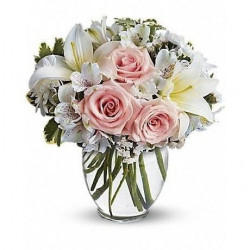 Carina - Vase Included