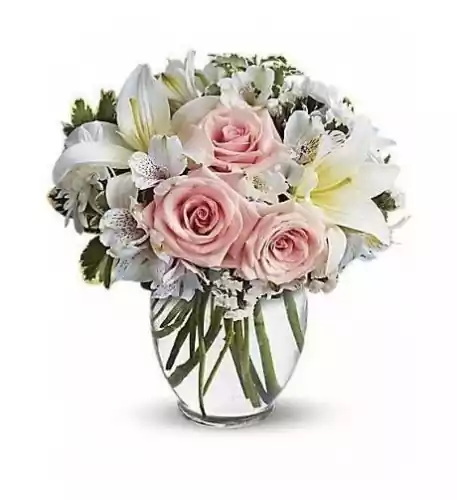 Carina - Vase Included Carina - Vase Included