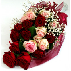 Bouquet of red and pink roses wrapped (15 Roses)