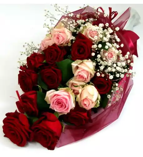 Bouquet of red and pink roses wrapped (15 Roses)