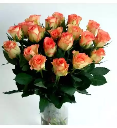 Bunch of pink roses, 50cm (15 Roses)
