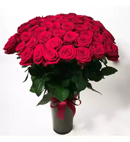 Bouquet of tall red roses (35 Roses) Bouquet of tall red roses (35 Roses)