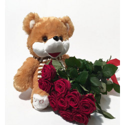 Teddy Bear and Red Roses (15 Roses)