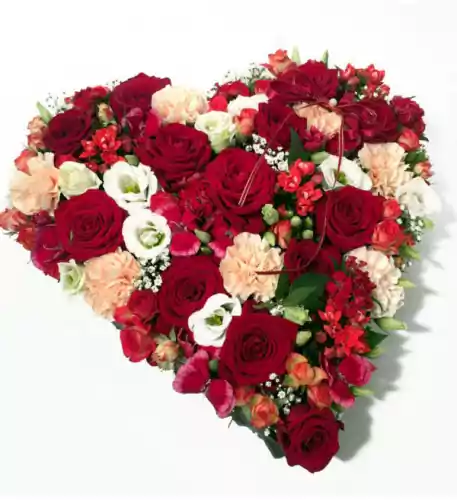 Heart-shepad arrangement of red, cream and white colors