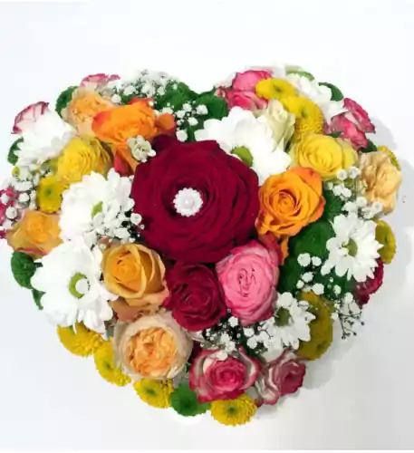 Heart of Roses Heart of Roses