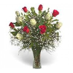 Vase 12 Bicolor Roses