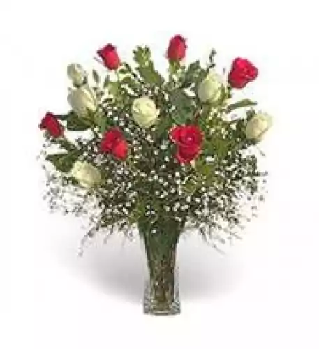 Vase 12 Bicolor Roses