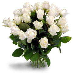 White Roses (Medium)