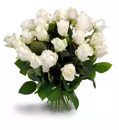 White Roses (Medium)