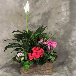 French Garden Planter (Large)