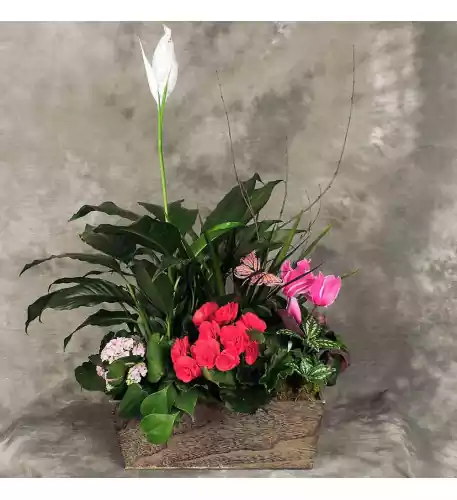 French Garden Planter (Large)